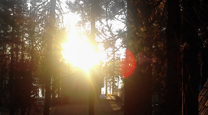 Two Steps Forward One Step Back